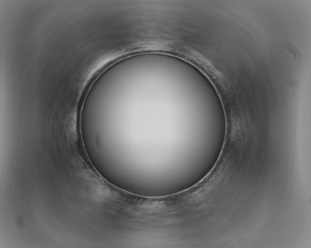 X0000112491174200908171240
