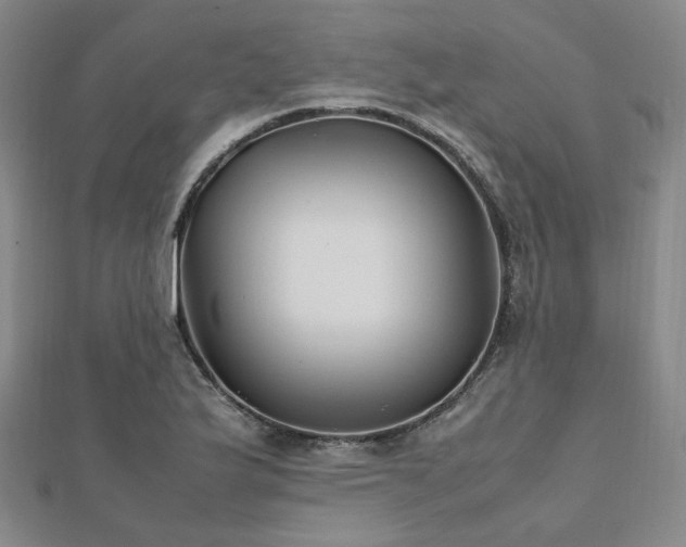 X0000112491175200908171240