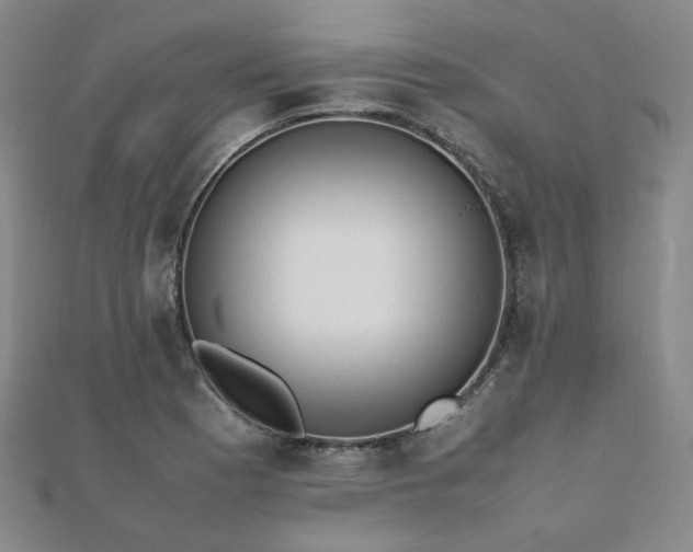 X0000112491177200908171240