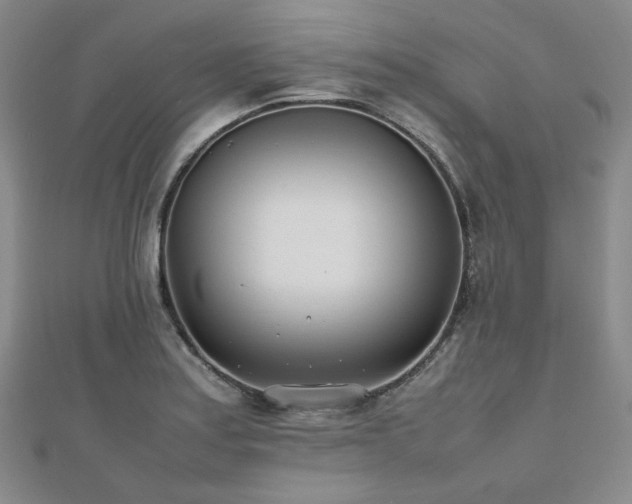 X0000112491179200908171240
