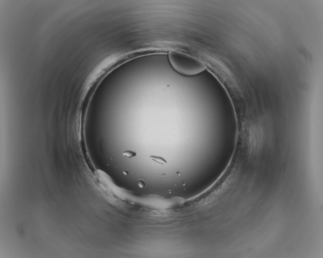 X0000112491180200908171240