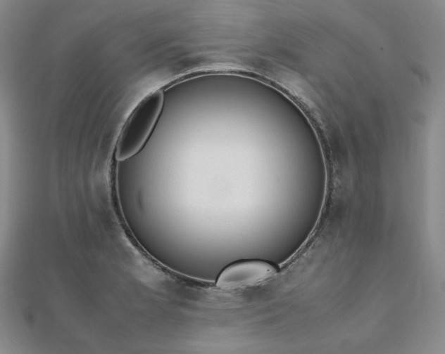 X0000112491181200908171240