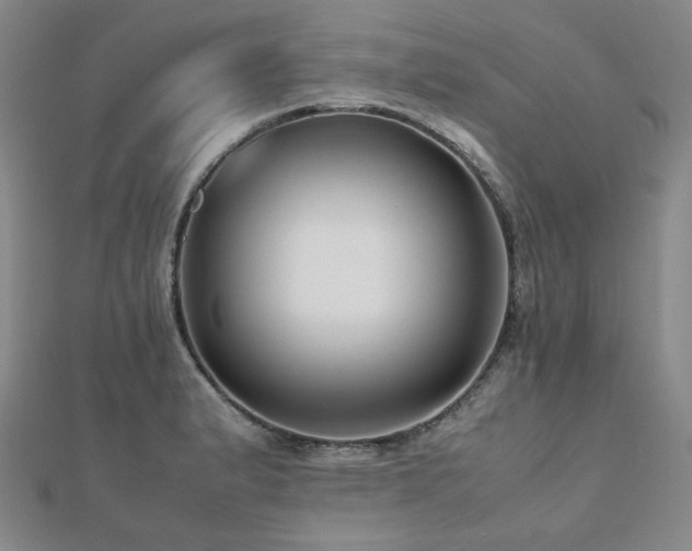 X0000112491183200908171240