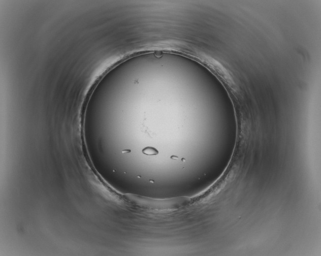 X0000112491184200908171240
