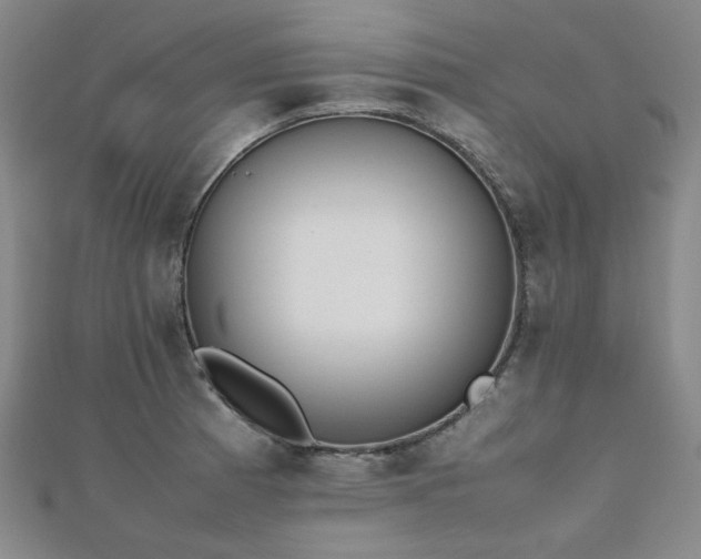 X0000112491185200908171240