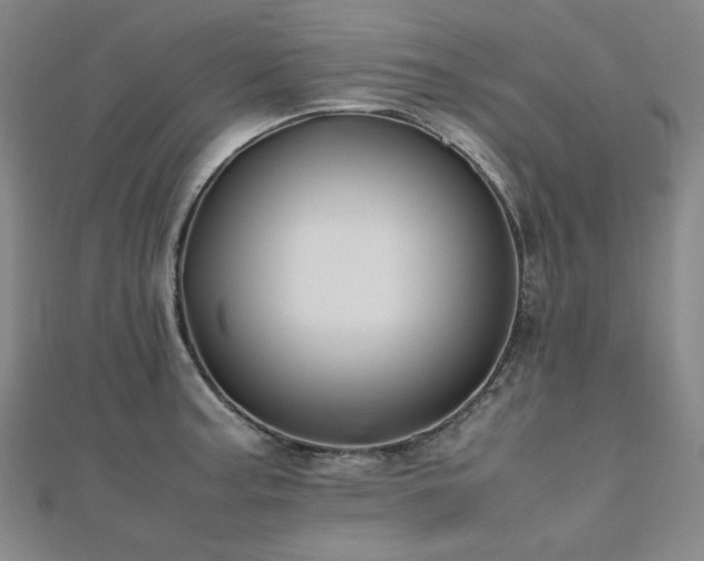 X0000112491187200908171240