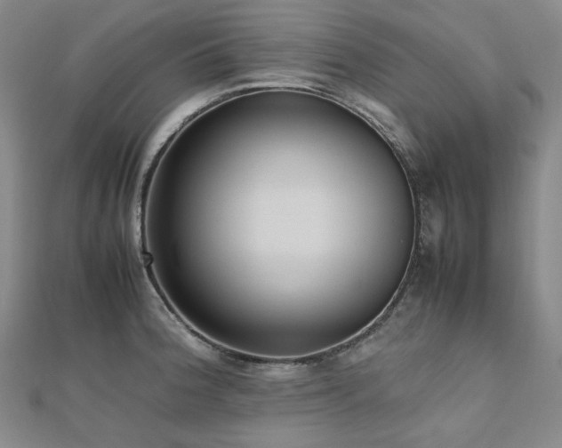 X0000112491188200908171240