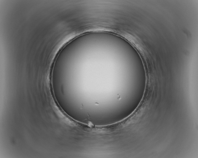 X0000112491189200908171240