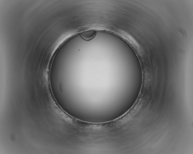 X0000112491190200908171240