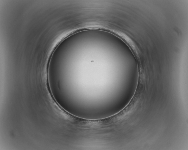 X0000112491191200908171240