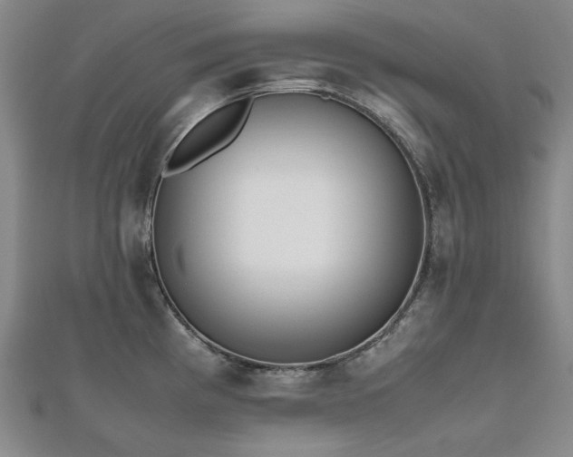 X0000112491193200908171240