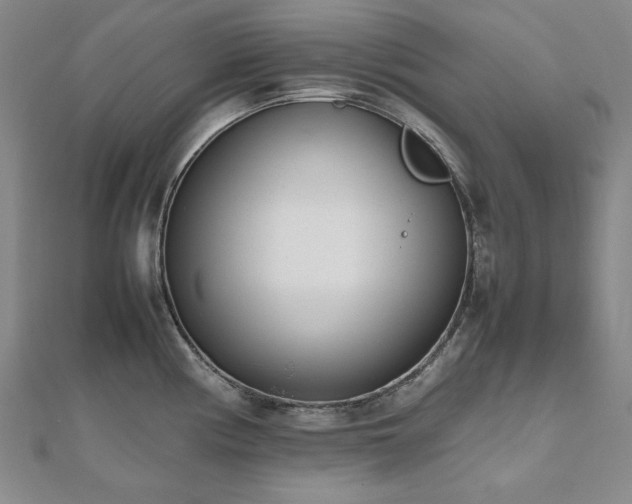 X0000112491194200908171240