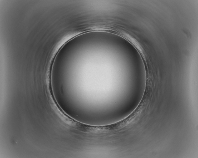 X0000112491195200908171240