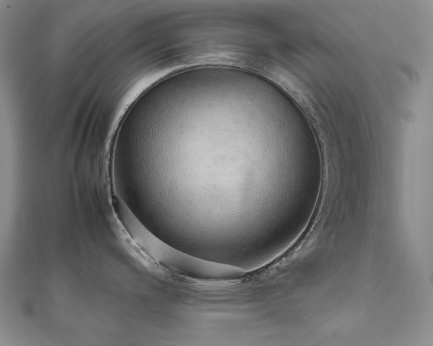 X0000112491200200908171240