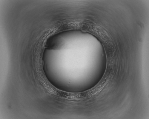 X0000112491201200908171240