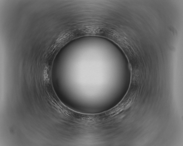 X0000112491202200908171240