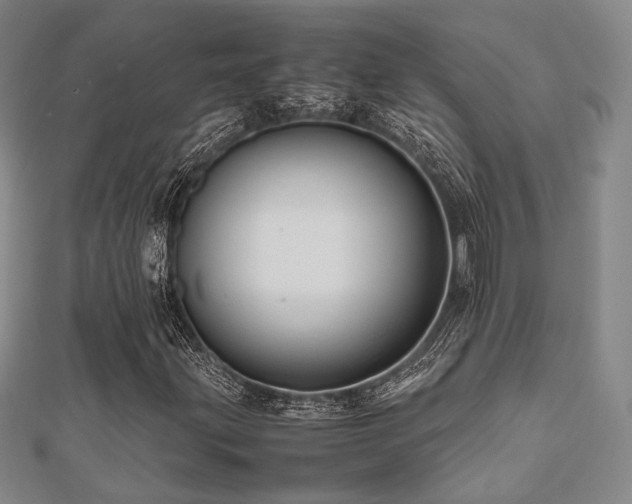 X0000112491203200908171240