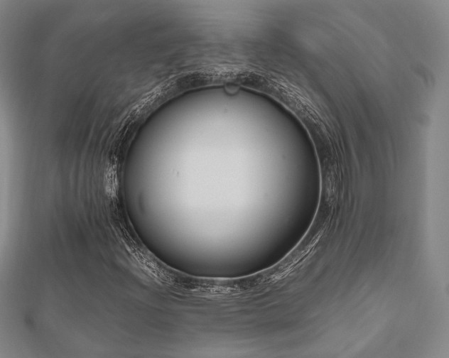 X0000112491204200908171240