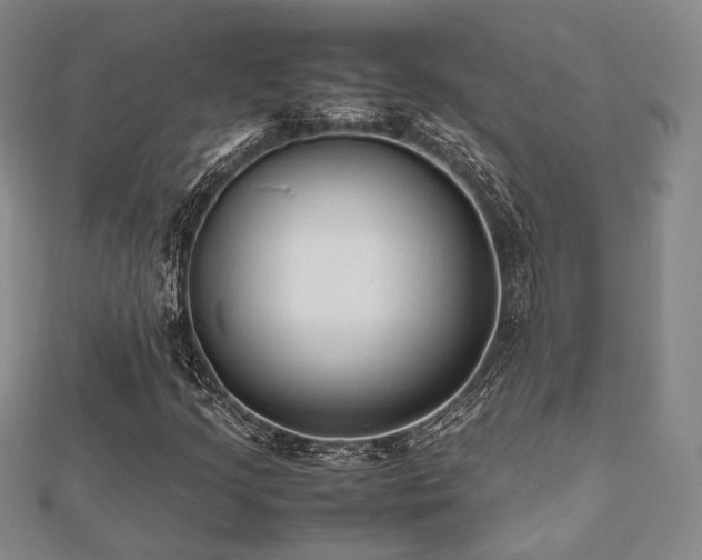 X0000112491205200908171240