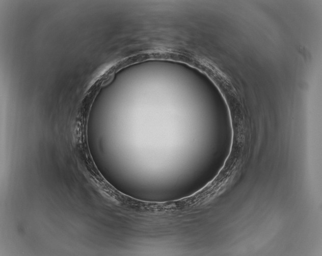 X0000112491208200908171240