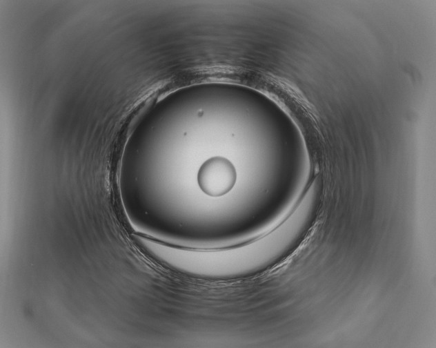X0000112491209200908171240