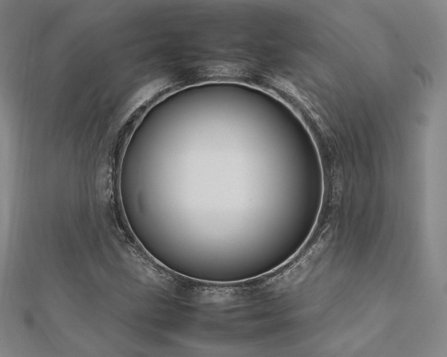 X0000112491211200908171240