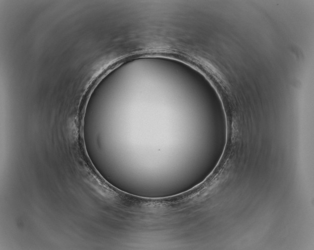 X0000112491212200908171240