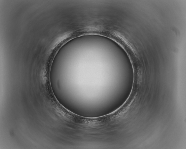 X0000112491213200908171240