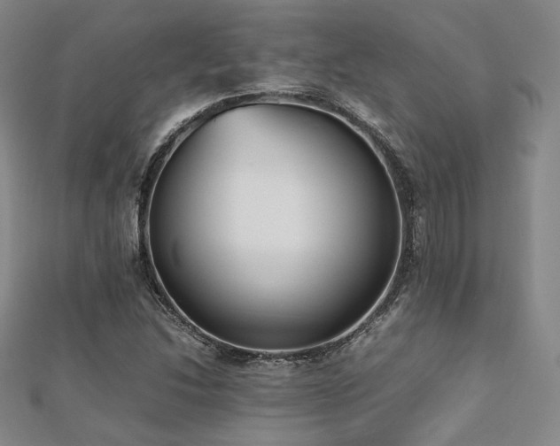 X0000112491214200908171240
