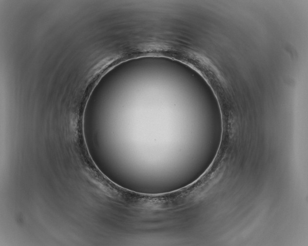 X0000112491217200908171240