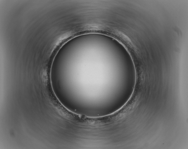 X0000112491218200908171240