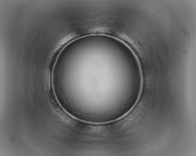 X0000112491219200908171240