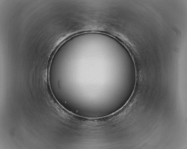 X0000112491220200908171240