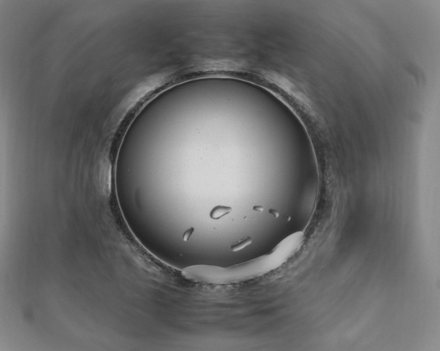 X0000112491221200908171240