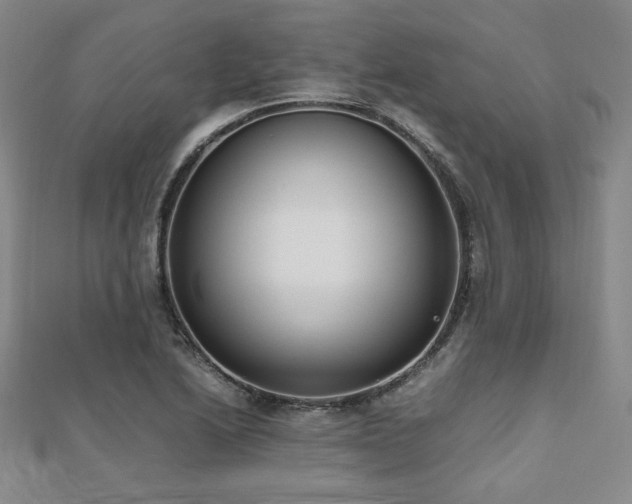 X0000112491222200908171240