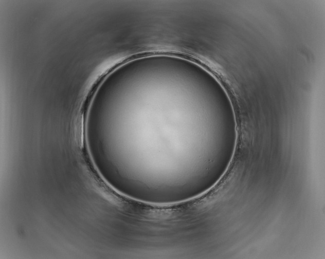 X0000112491223200908171240