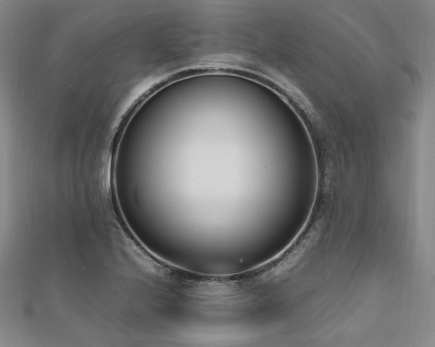 X0000112491224200908171240