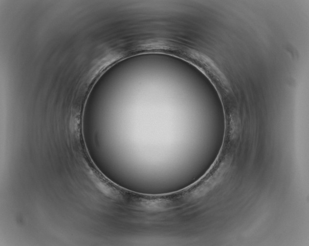 X0000112491225200908171240