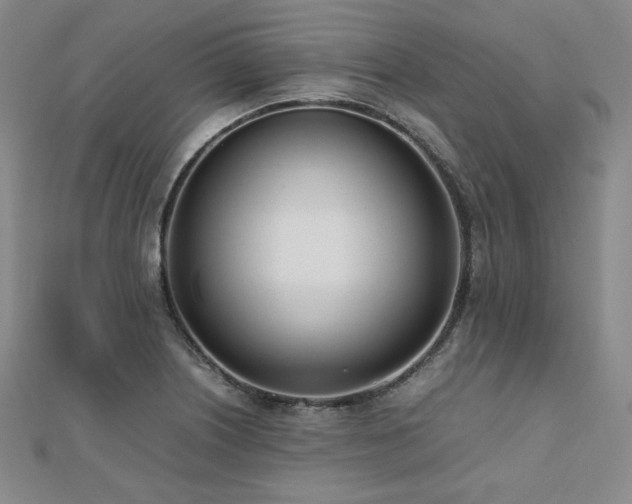 X0000112491226200908171240