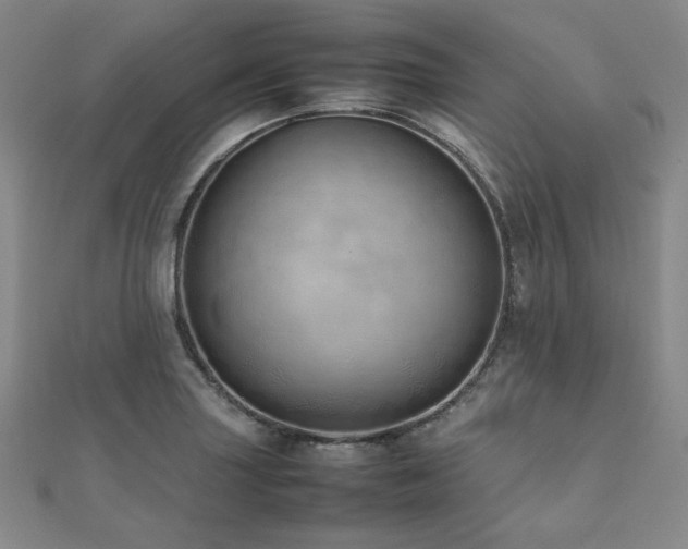 X0000112491227200908171240
