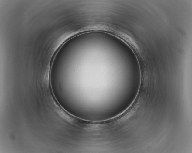 X0000112491228200908171240