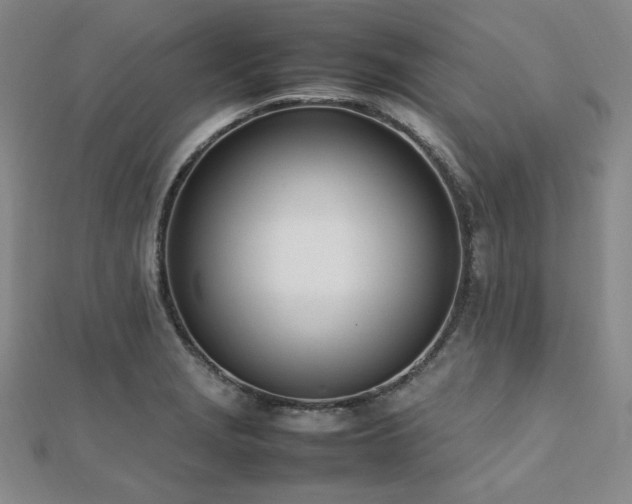 X0000112491229200908171240