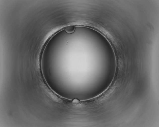 X0000112491230200908171240