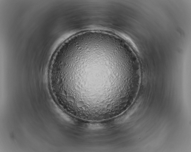 X0000112491231200908171240