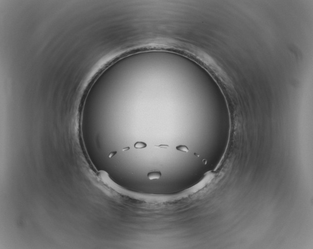 X0000112491232200908171240