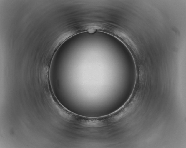 X0000112491233200908171240