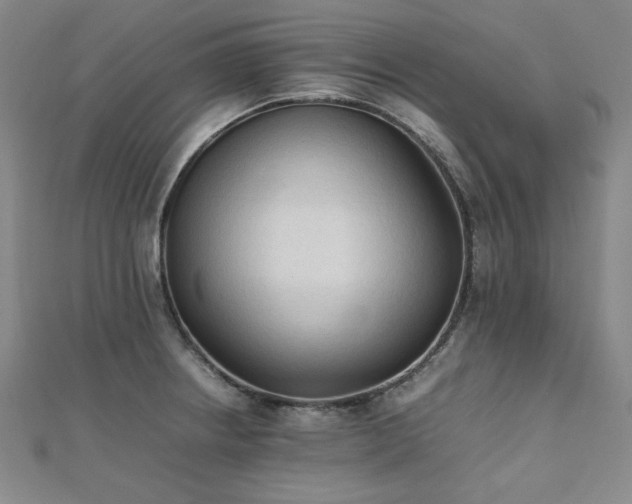 X0000112491234200908171240