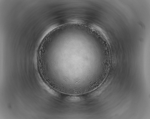 X0000112491235200908171240