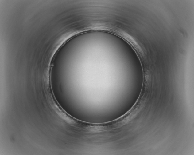 X0000112491236200908171240