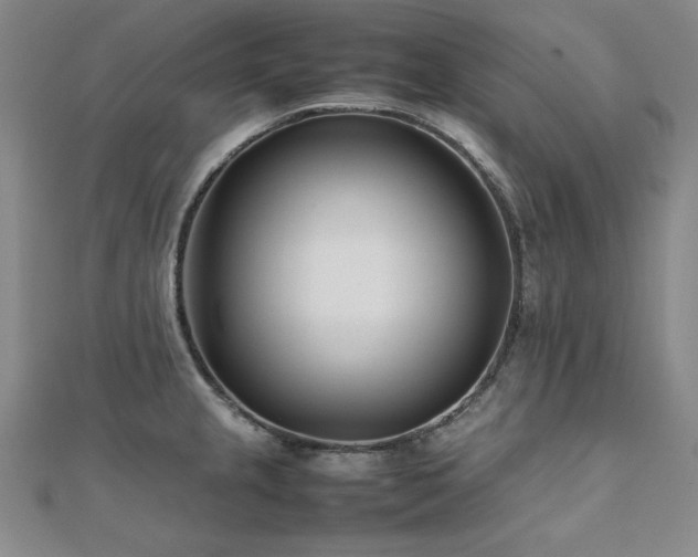 X0000112491237200908171240